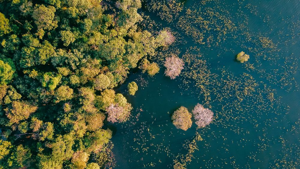 Photograph by Lương Viết Cường