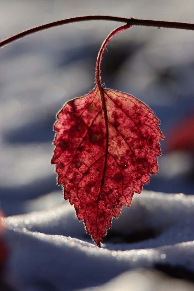 Photograph by Александр Морозов