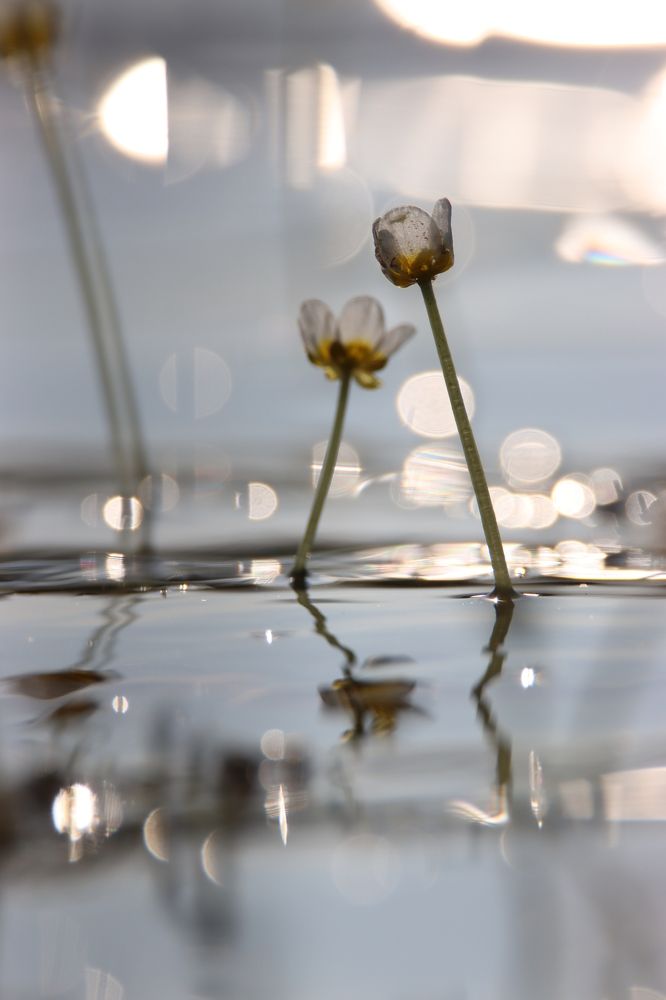 Photograph by Александр Морозов