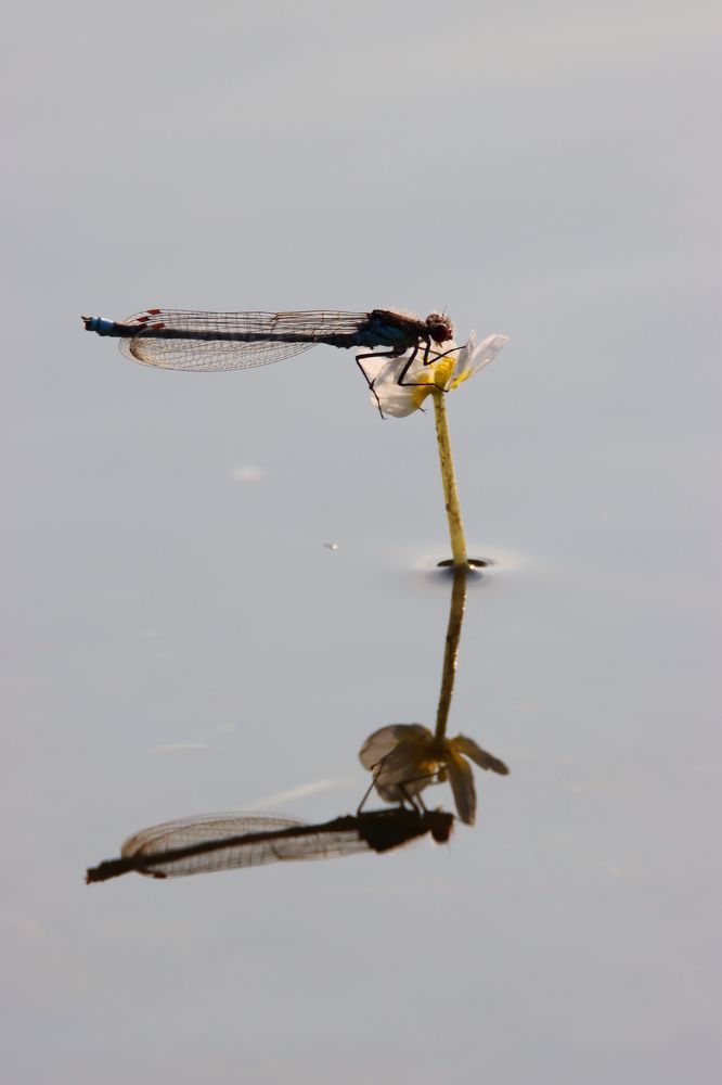 Photograph by Александр Морозов