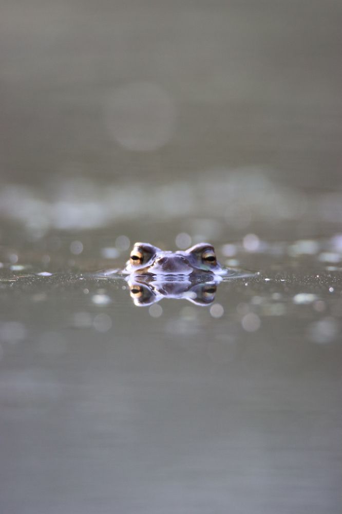 Photograph by Александр Морозов