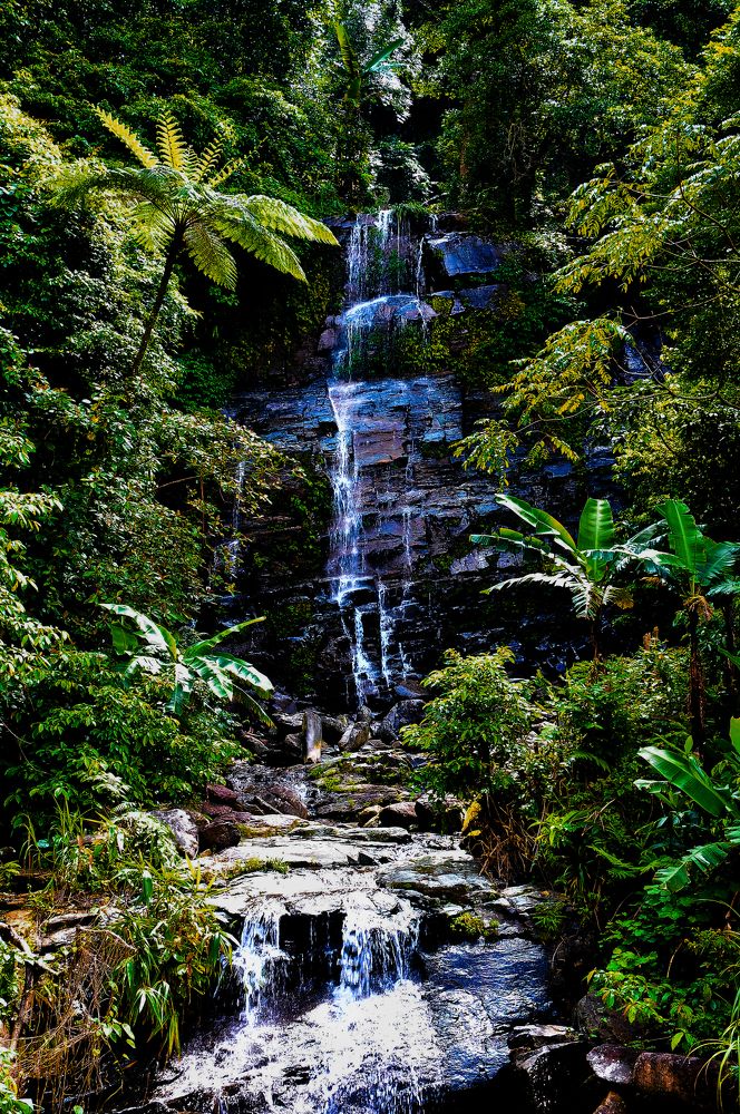 Photograph by PHUONG NGUYEN THANH