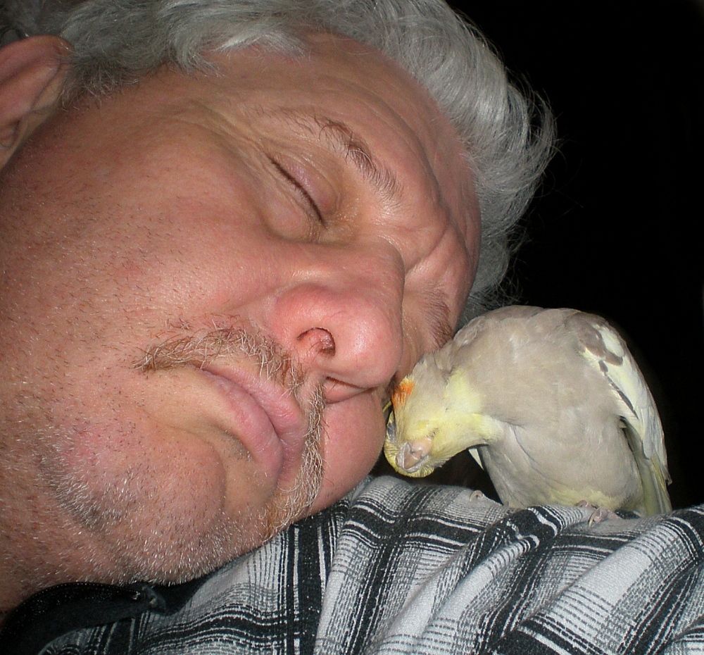 Photograph by Савоцкий Роман