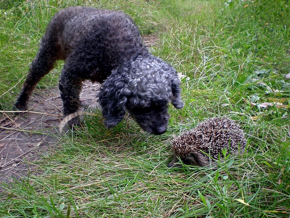 Photograph by Савоцкий Роман