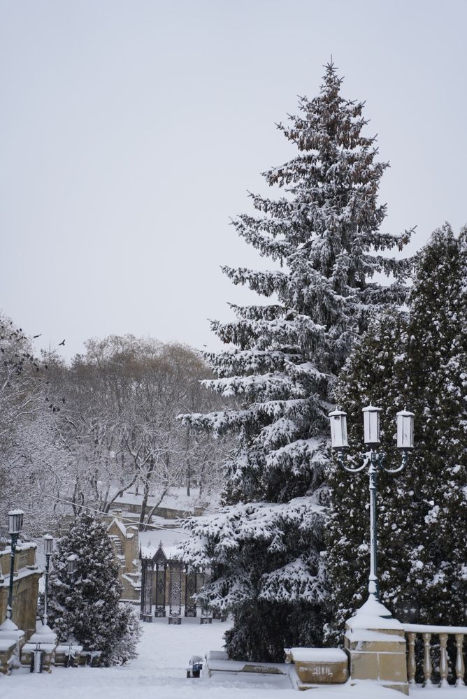 Photograph by Ekaterina Sukhanova