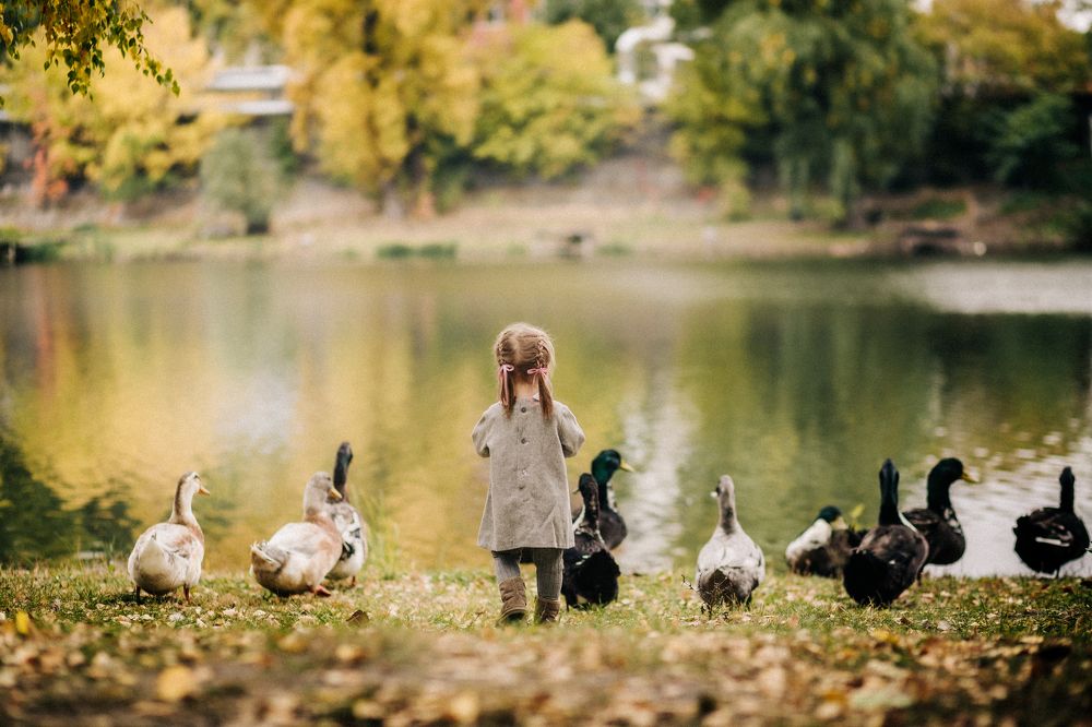 Photograph by Инна Момот