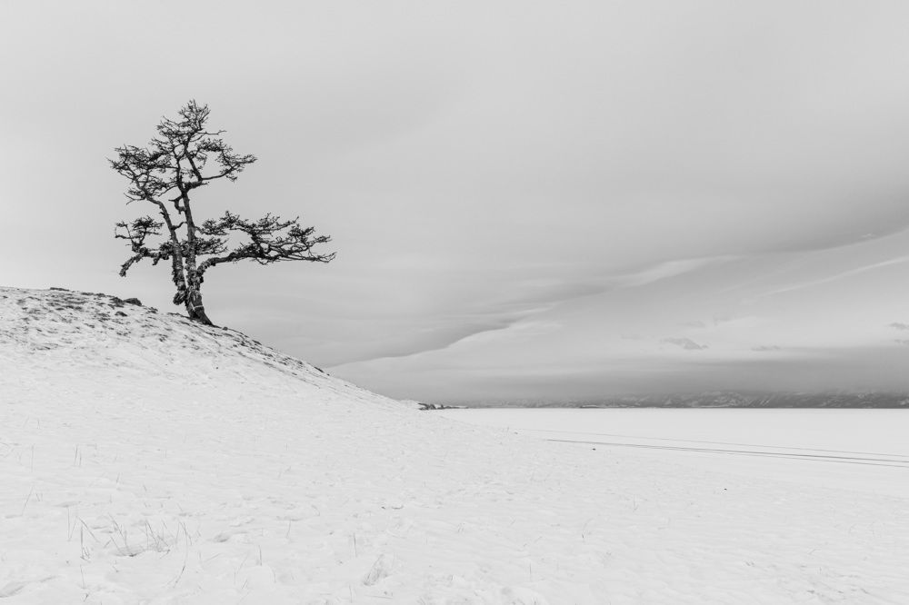 Photograph by Евгения Чех