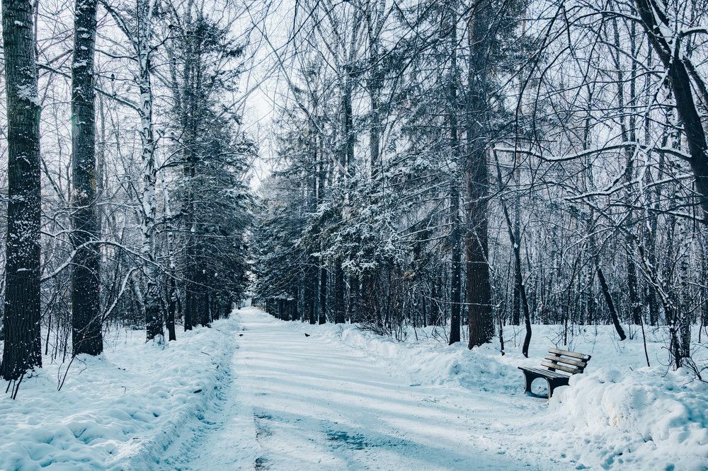 Photograph by Астафьева Ирина