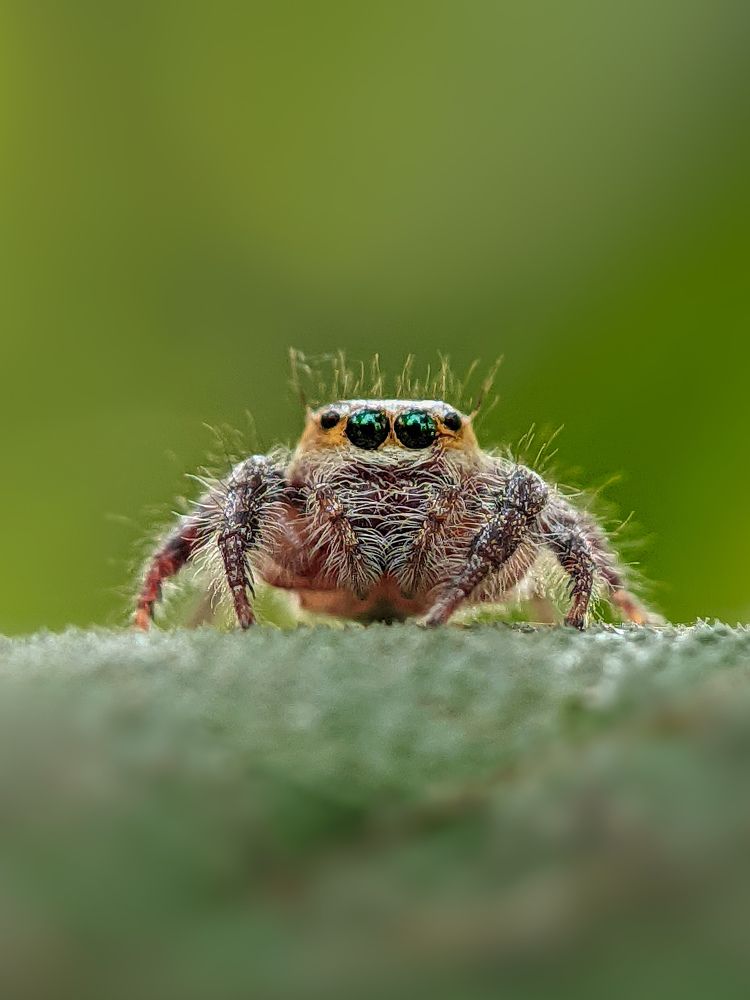 Photograph by Akash Pani