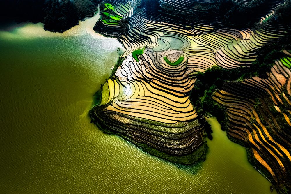 Photograph by Lê Huy Anh