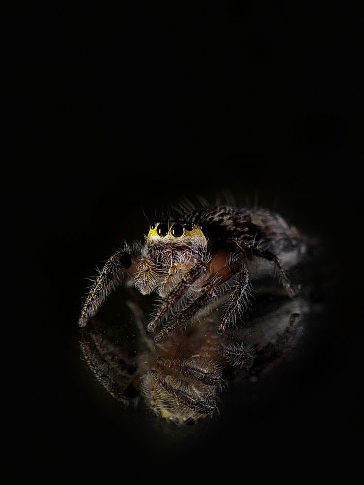 Photograph by Akash Pani