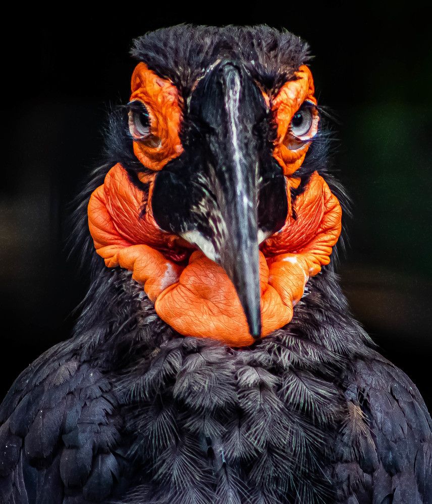 Photograph by Sharon Sabharwal