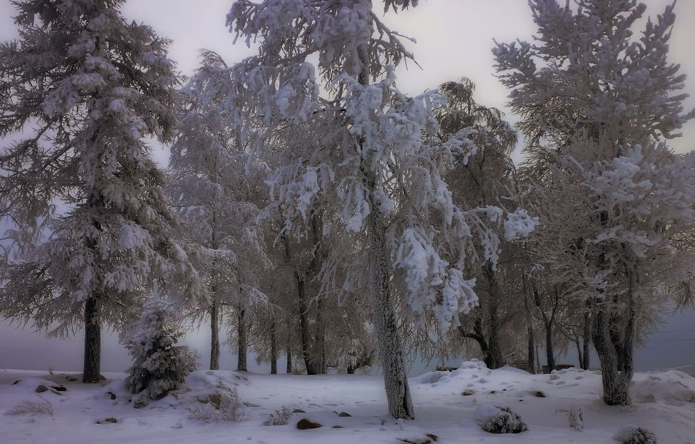 Photograph by Сергей Марков
