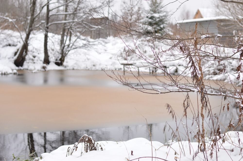 Photograph by Дарья Акулич