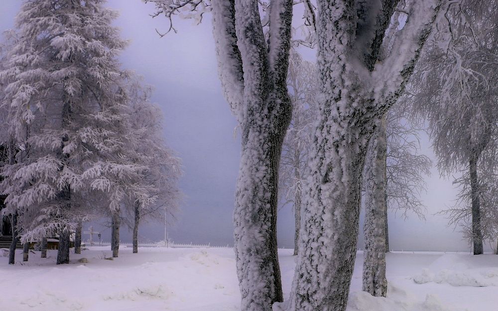 Photograph by Сергей Марков