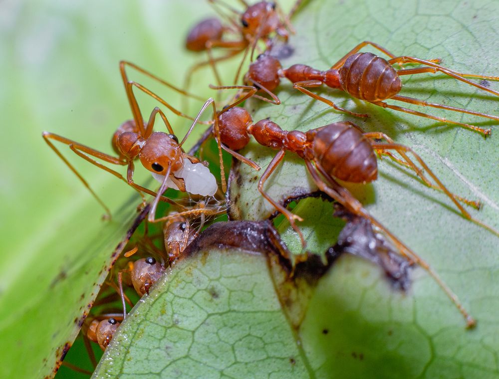 Фотография автора Sasindu Pramuditha