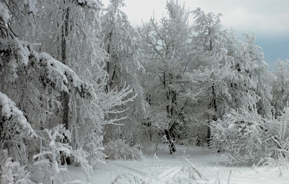Photograph by Сергей Марков