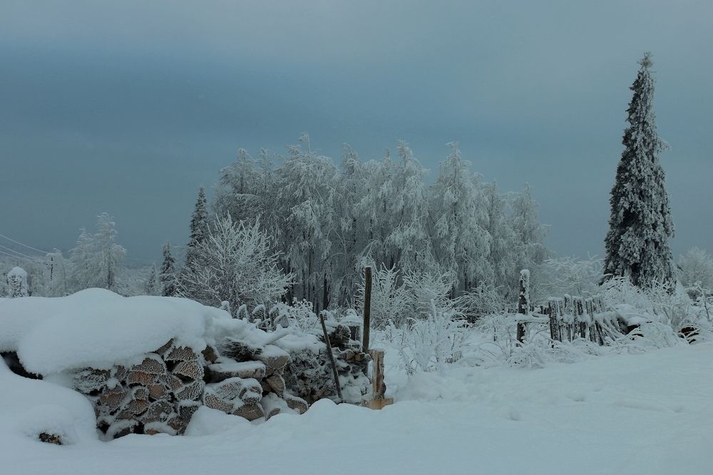 Photograph by Сергей Марков