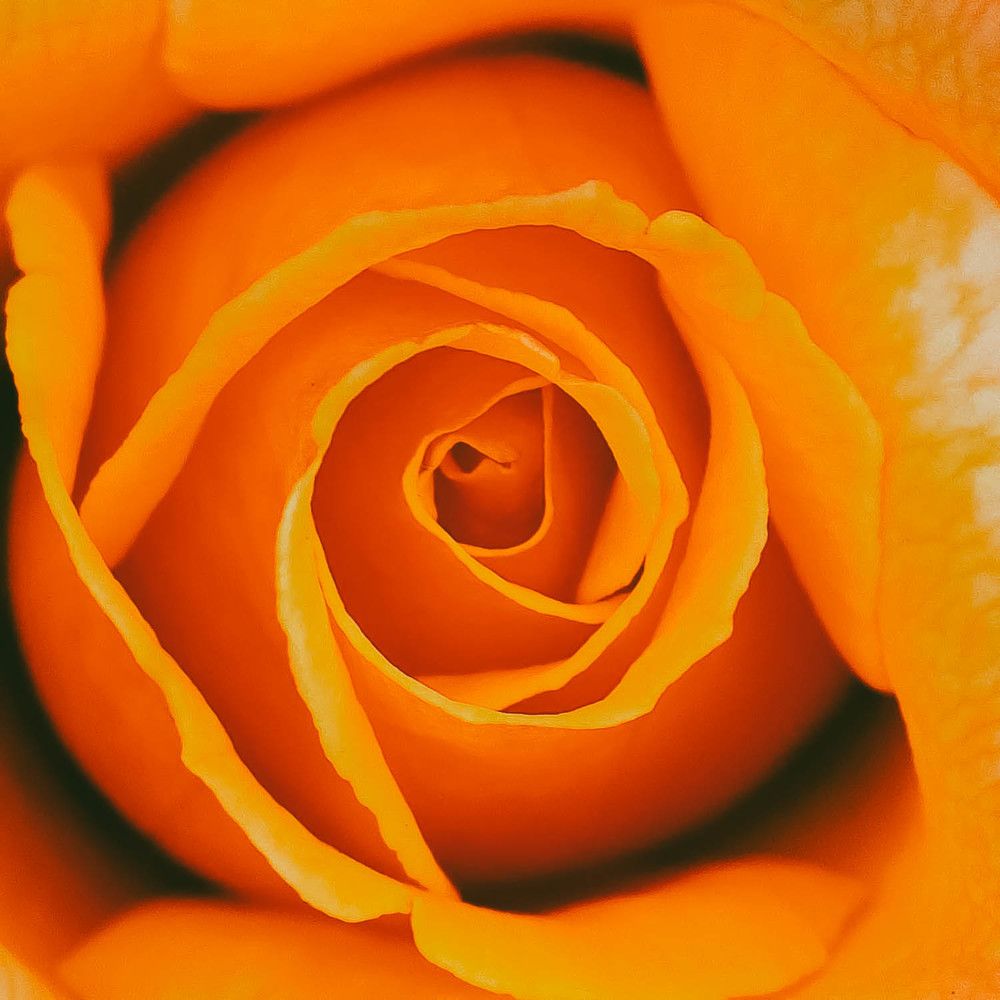 Photograph by Sharon Sabharwal