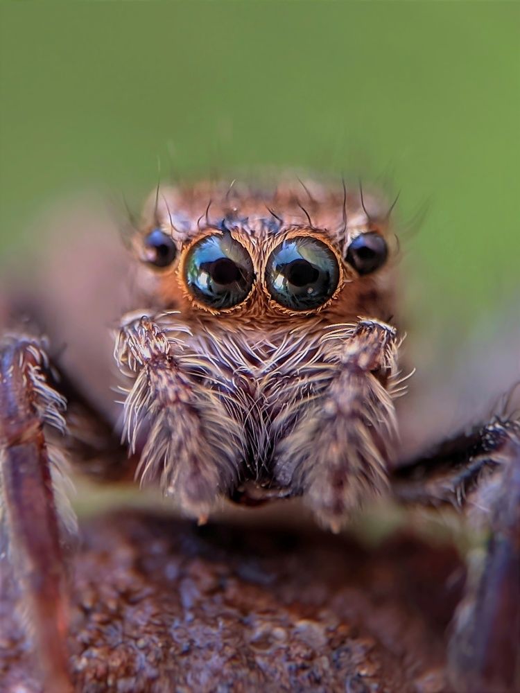 Photograph by Nisheeth Pimpaldara