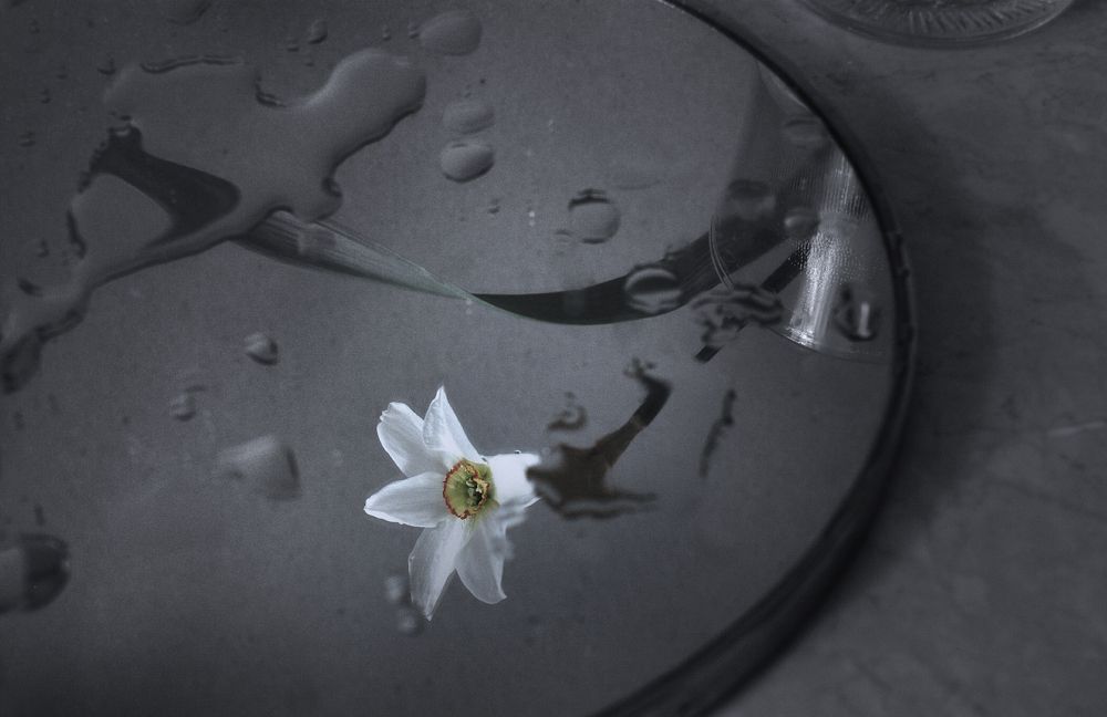 Легенда о нарциссе