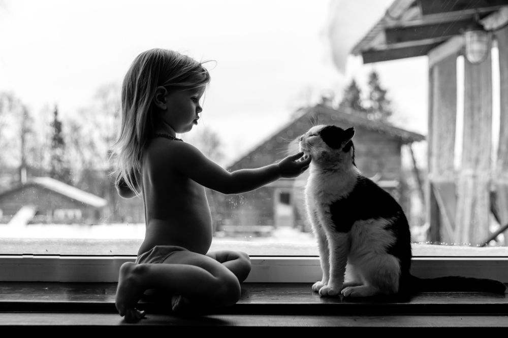 Photograph by Александр Шилов