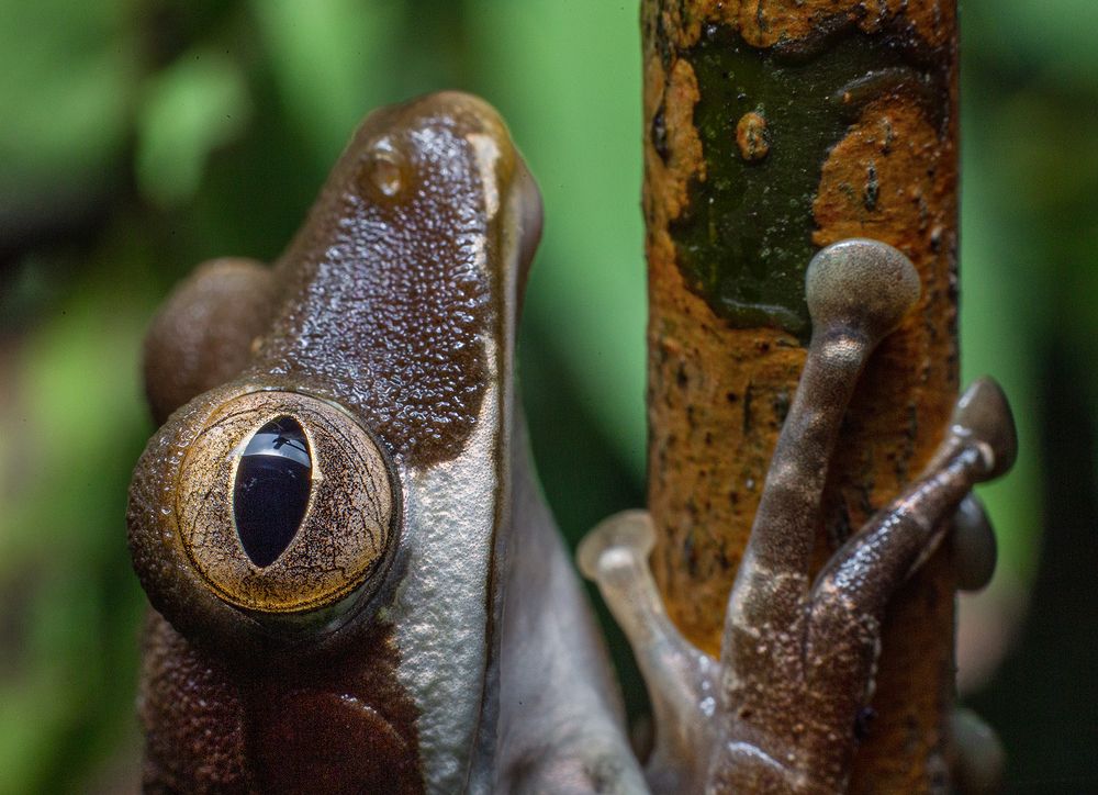 Фотография автора Sasindu Pramuditha