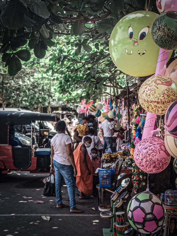 Photograph by Thimira dinisuru