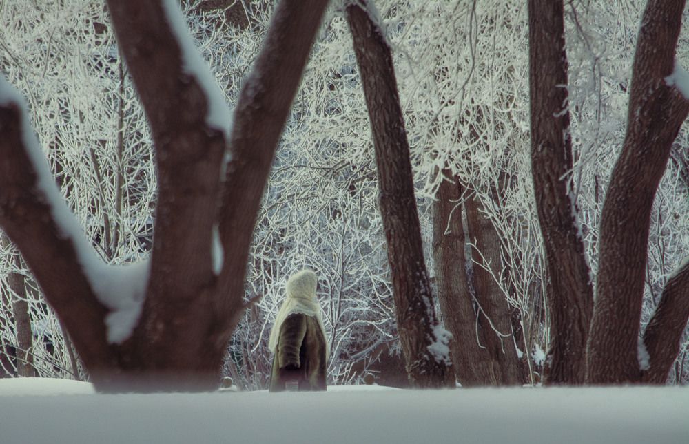 Photograph by Юлия Лушникова