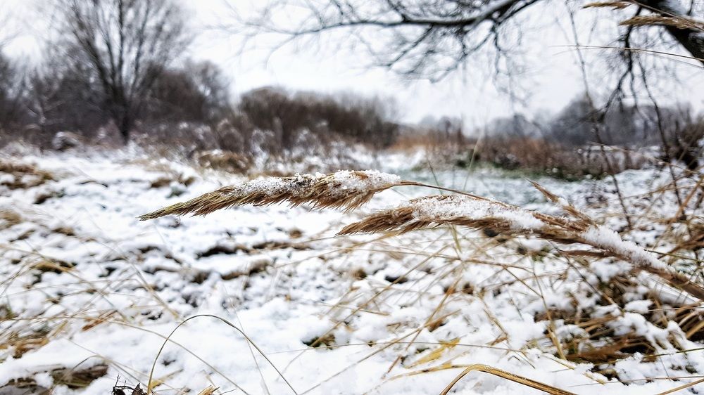 Фотография автора Дана Богинская