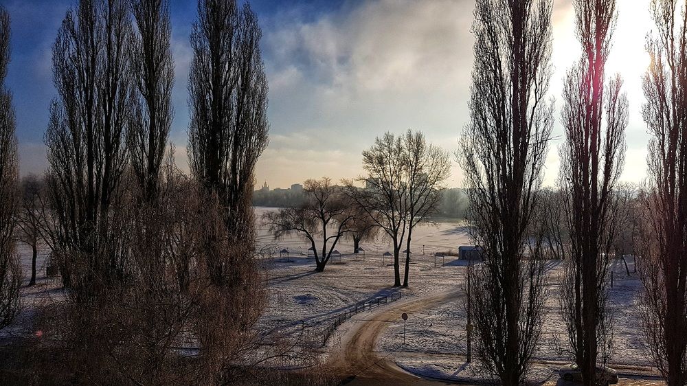 Фотография автора Дана Богинская