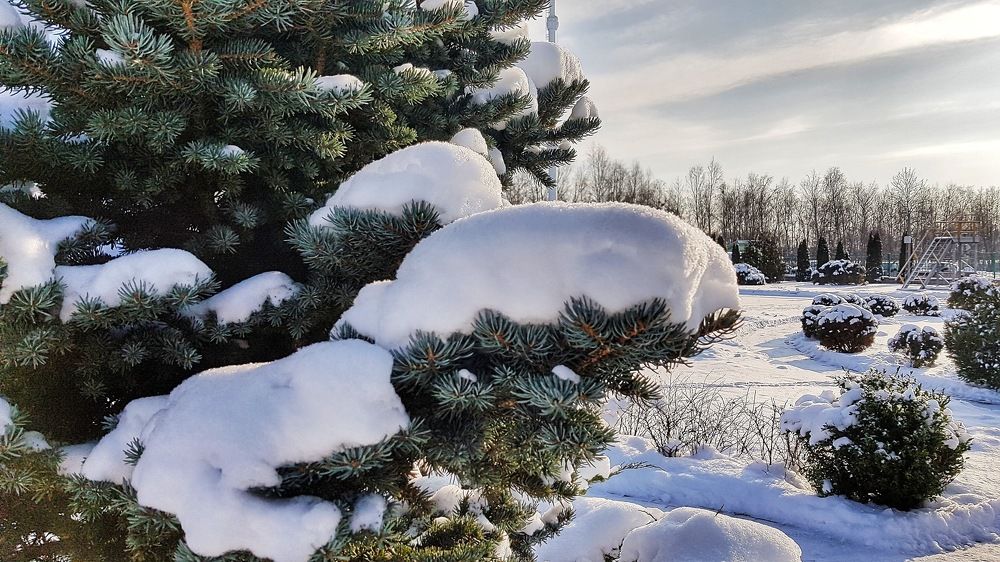 Фотография автора Дана Богинская