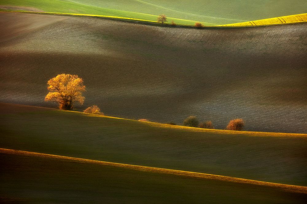 Mystery of Landscape IX