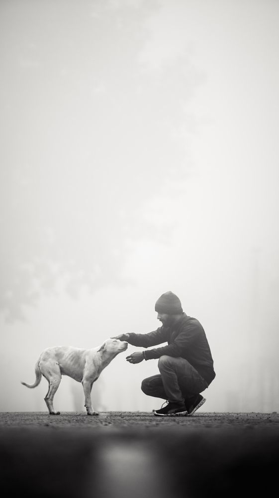 Photograph by Rahul Prakash