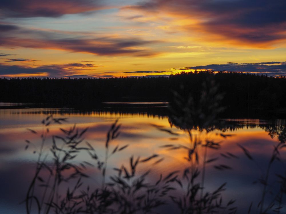 Photograph by Oлеся Грасько