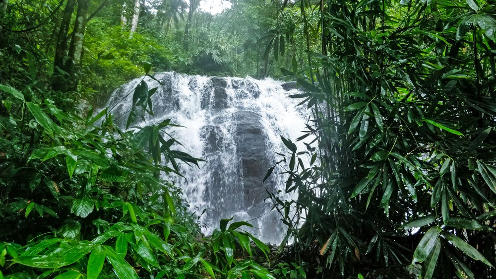 Photograph by Gibin George