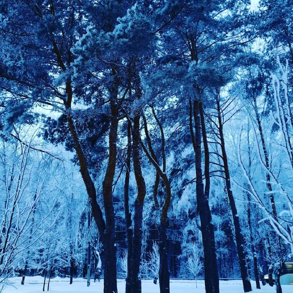 Photograph by Nurlan Islamova