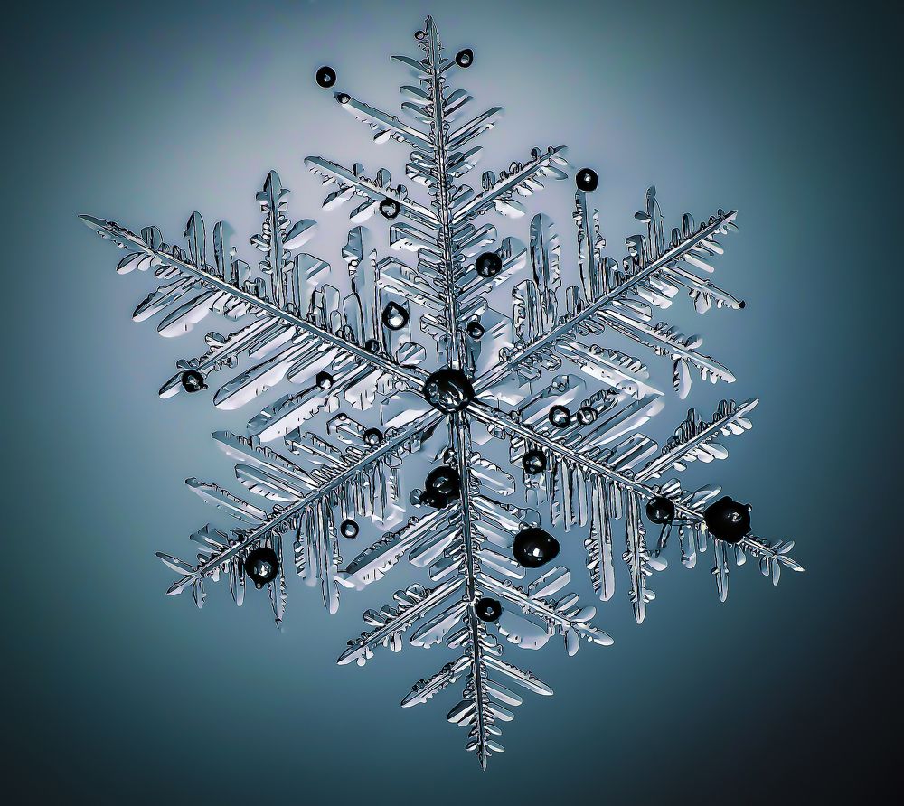 Photograph by андрей захаров