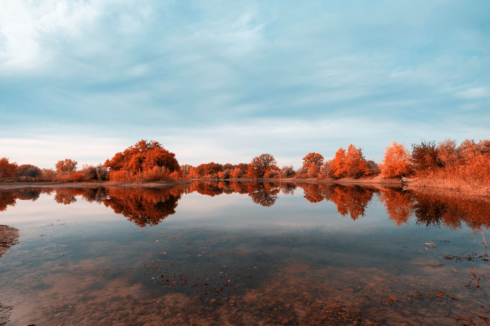 Photograph by 