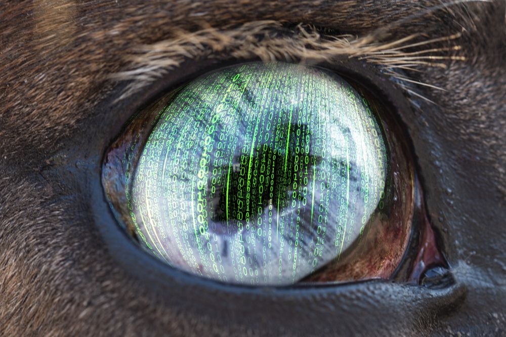 Photograph by Николай Багно