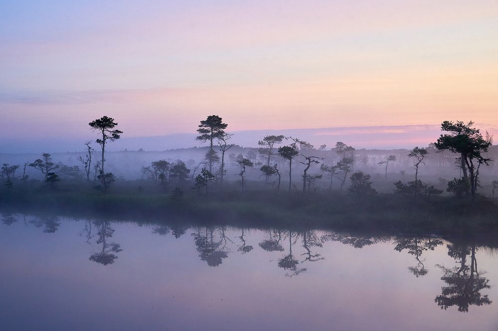 Photograph by Alla Matrosova