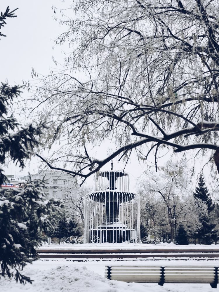 Фотография автора Регина Цыганова