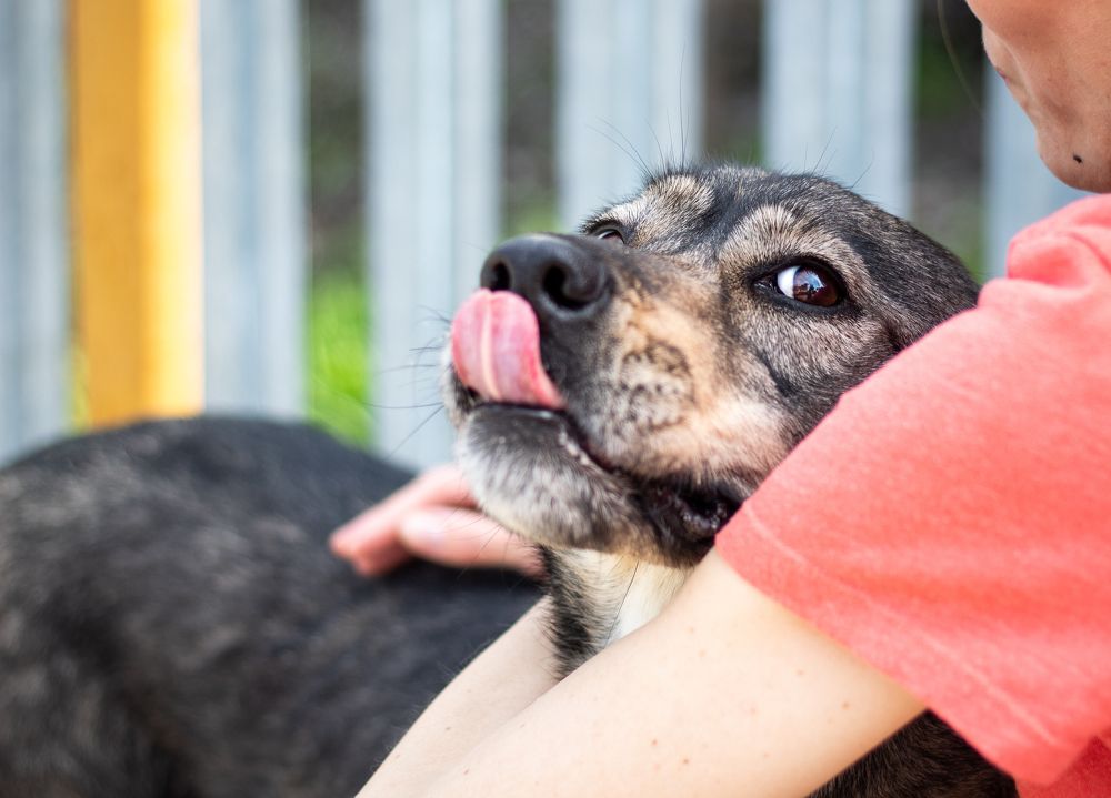 Фотография автора Дарина