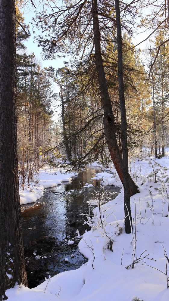 А за городом зима, зима.