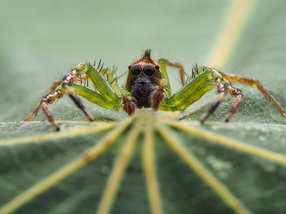 Photograph by Eka Novianto Nugroho