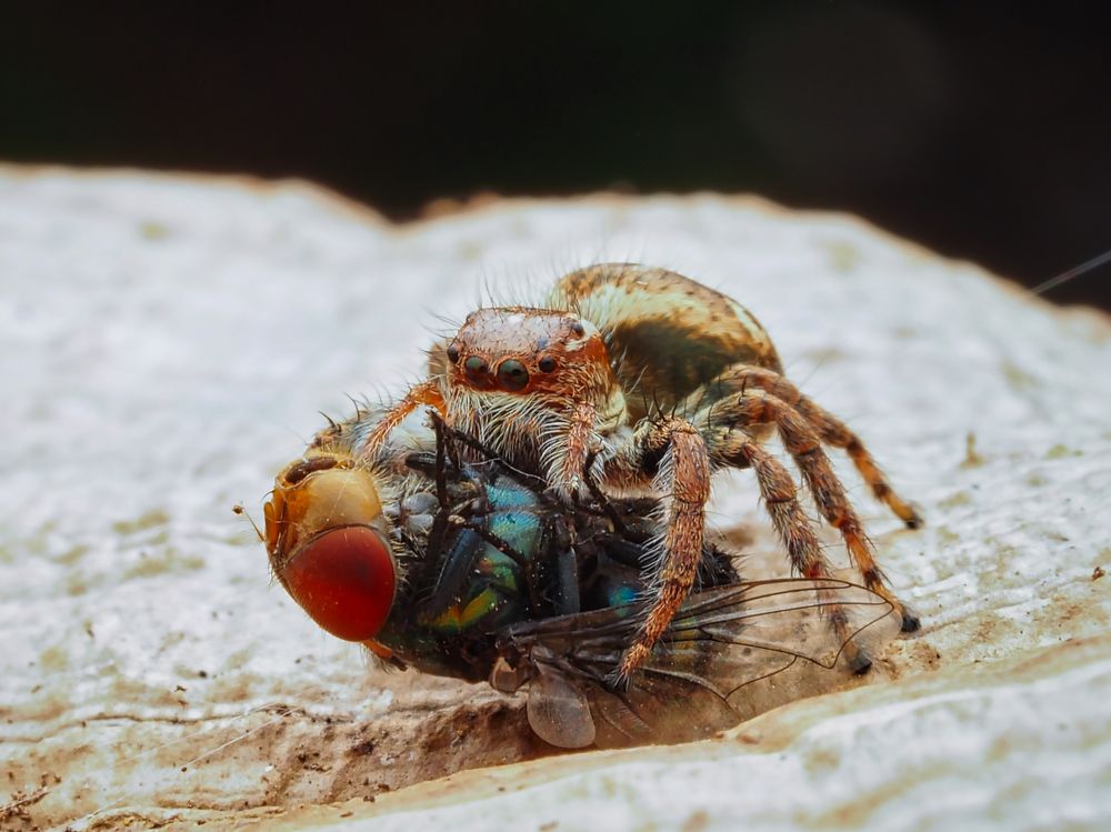 Photograph by Eka Novianto Nugroho