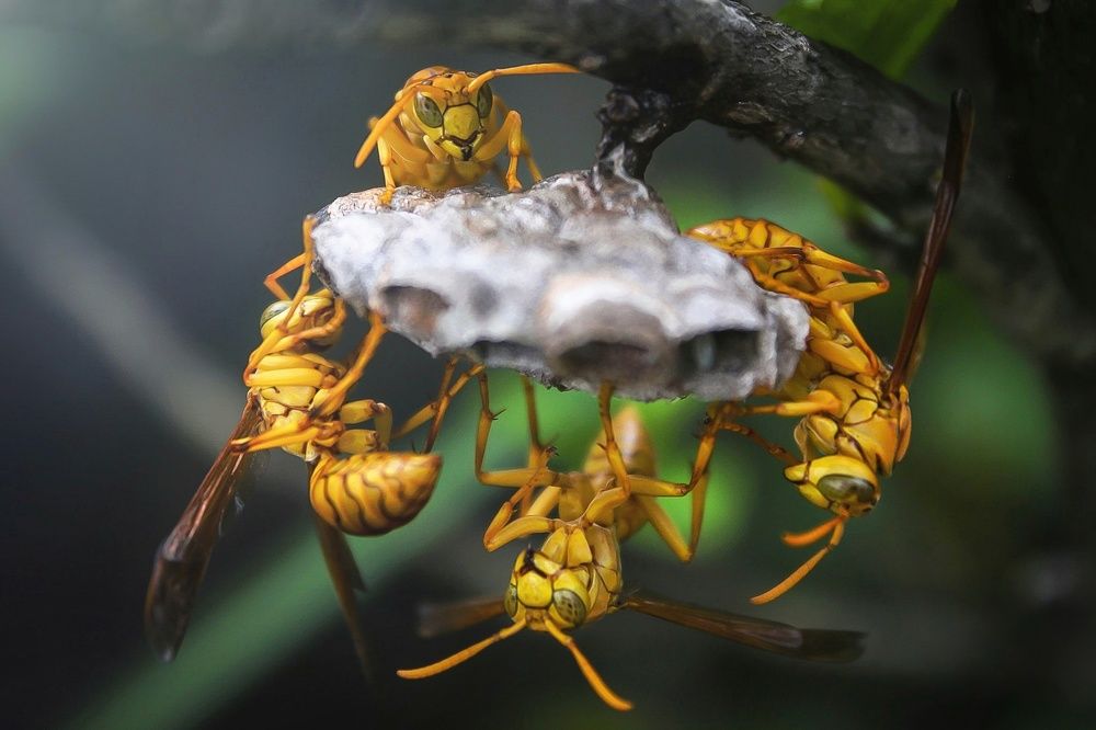 Photograph by Sarthak Daniary