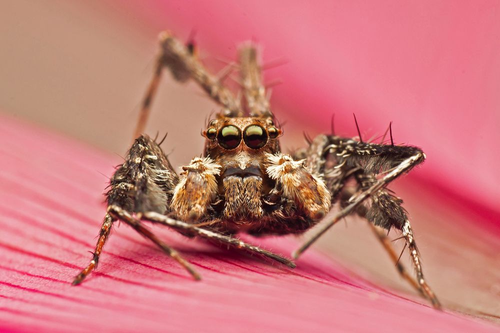 Photograph by Nadzli Azlan