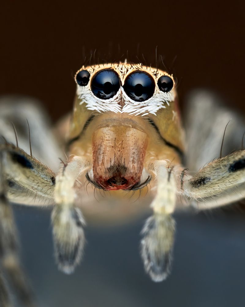 Photograph by Роман Фадеев