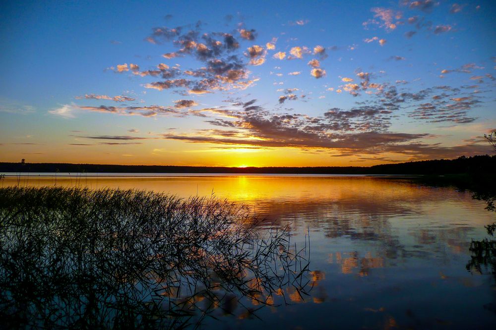 Photograph by Ubare Kelle